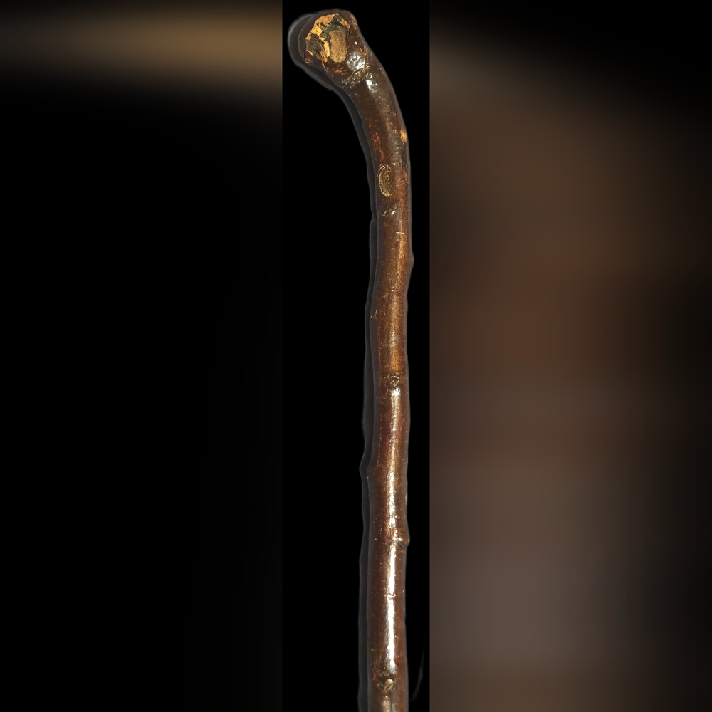 Authentic Blackthorn Walking Stick - Picture 2 of 3